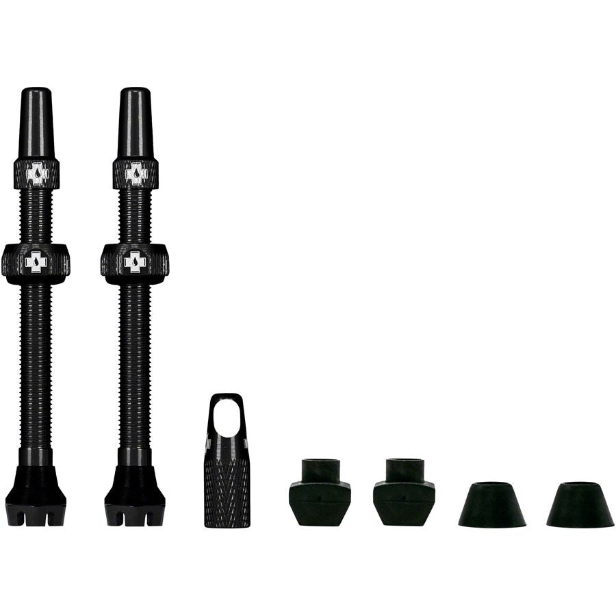 V2 Tubeless Valve Kit