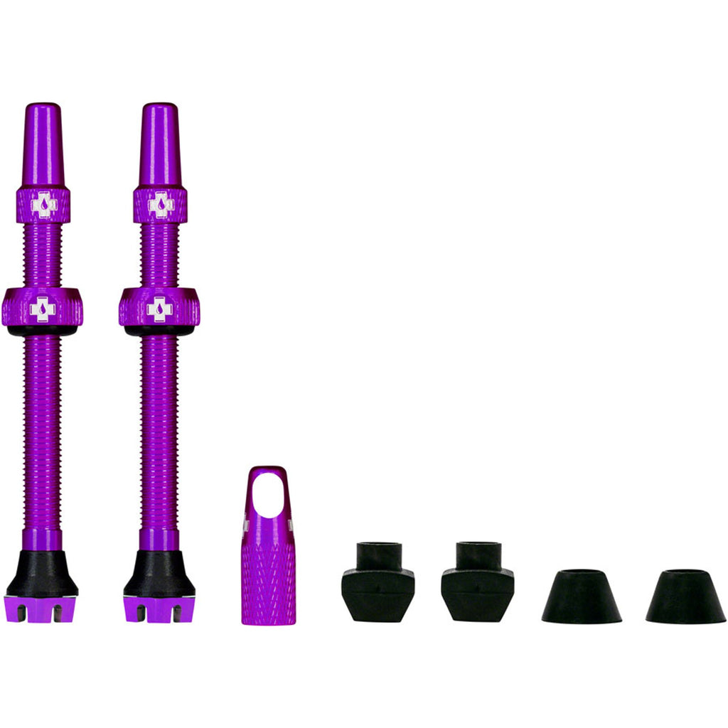 V2 Tubeless Valve Kit - Pair