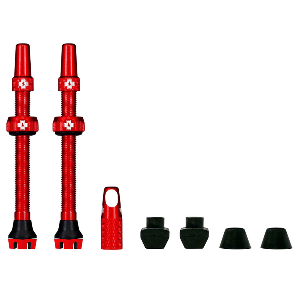 V2 Tubeless Valve Kit - Pair