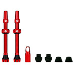 V2 Tubeless Valve Kit