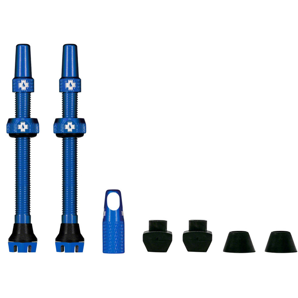 V2 Tubeless Valve Kit - Pair