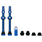 V2 Tubeless Valve Kit