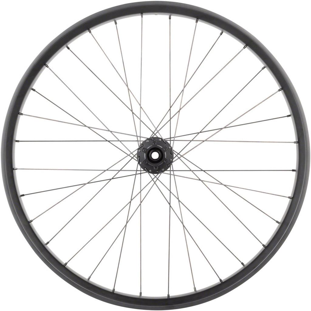 Alex CF-1 Carbon Bear Pawl Rear Wheel - 26" Fat, 12 x 197mm, 6-Bolt, HG 11, Black