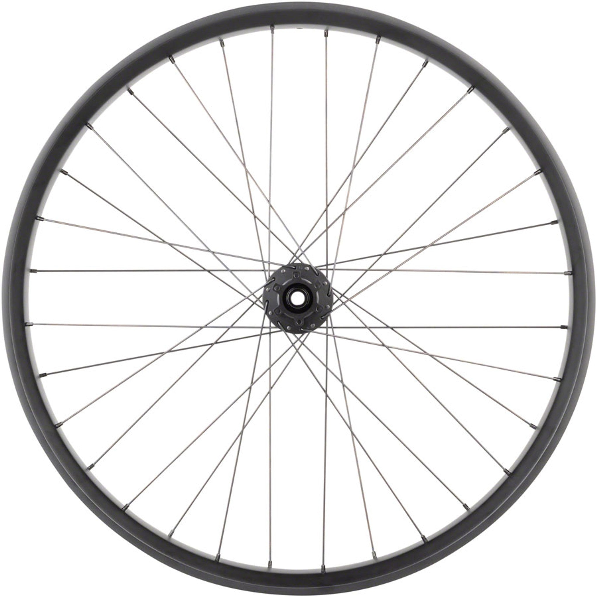 Alex CF-1 Carbon Bear Pawl Rear Wheel - 26" Fat, 12 x 197mm, 6-Bolt, HG 11, Black