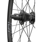 101 XPLR Rear Wheel