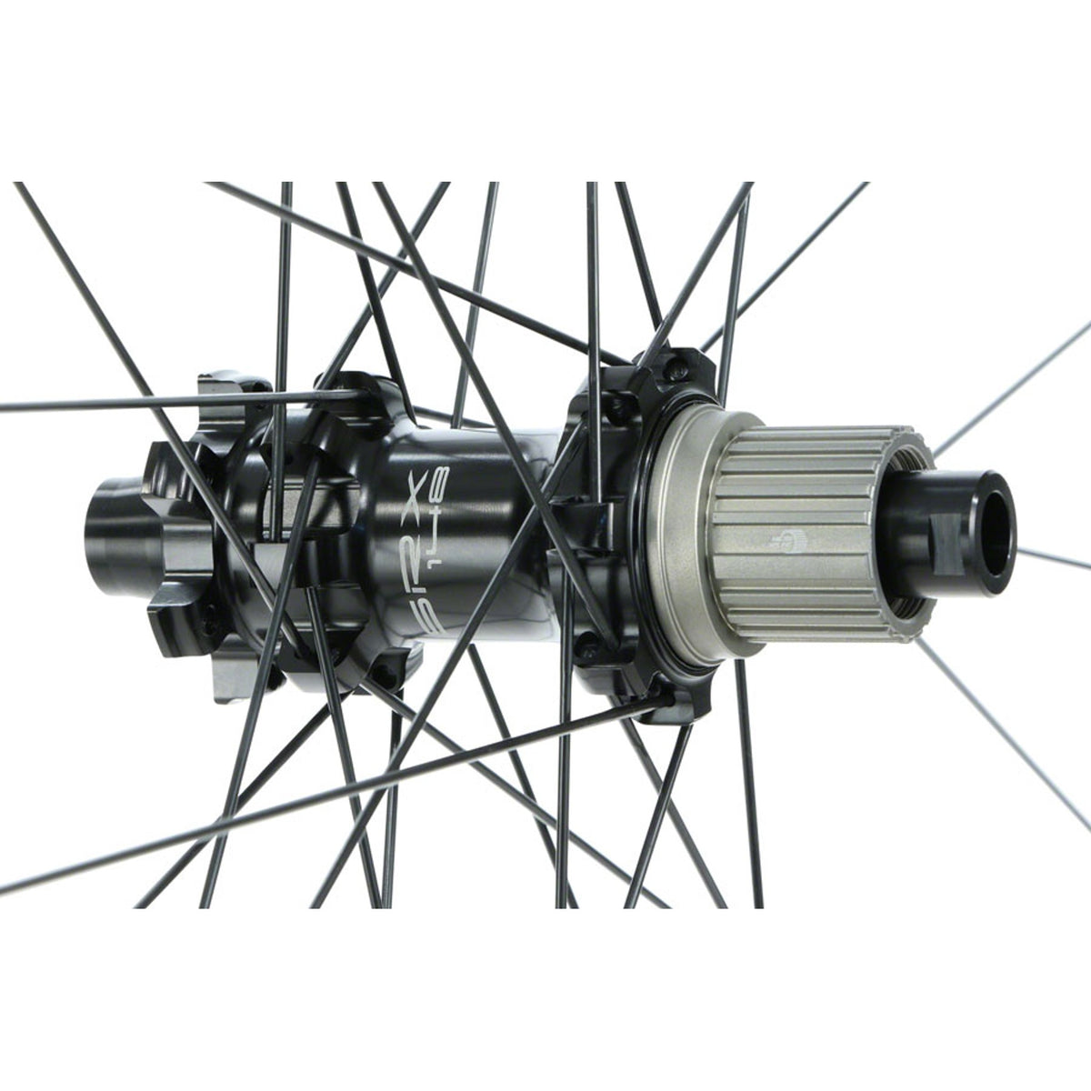 Duroc 50 Expert Rear Wheel - 29", 12 x 148mm, 6-Bolt, Micro Spline / XD, Black