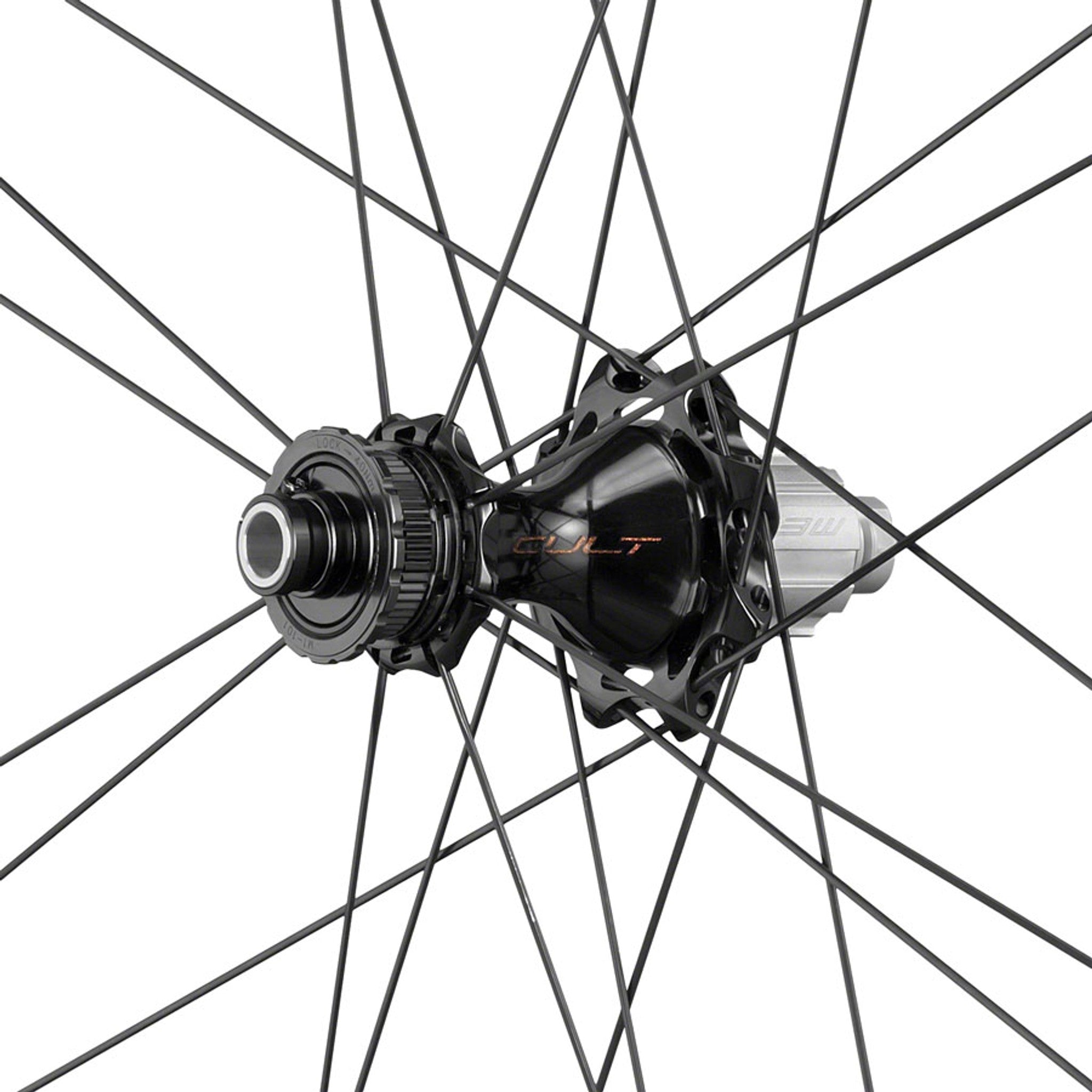 Bora Ultra WTO 33 Rear Wheel - 700c, 12 x 142mm, Center-Lock, N3W, 2-Way Fit, Gray