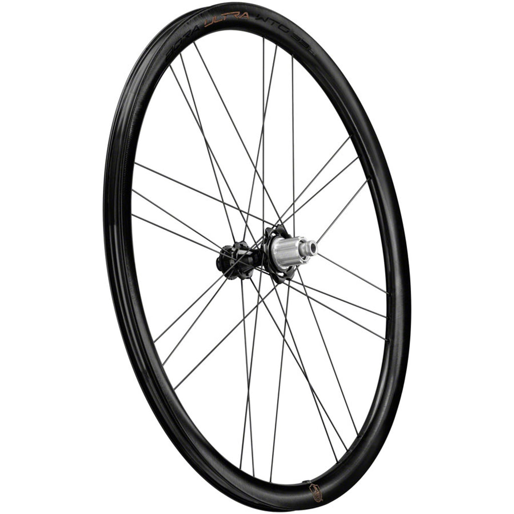 Bora Ultra WTO 33 Rear Wheel - 700c, 12 x 142mm, Center-Lock, N3W, 2-Way Fit, Gray