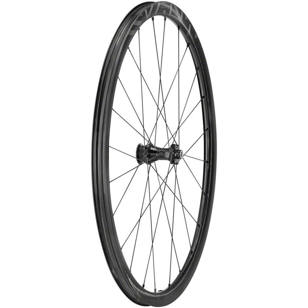 Campagnolo Levante Front Wheel - 700, 12 x 100mm, CenterLock, Black