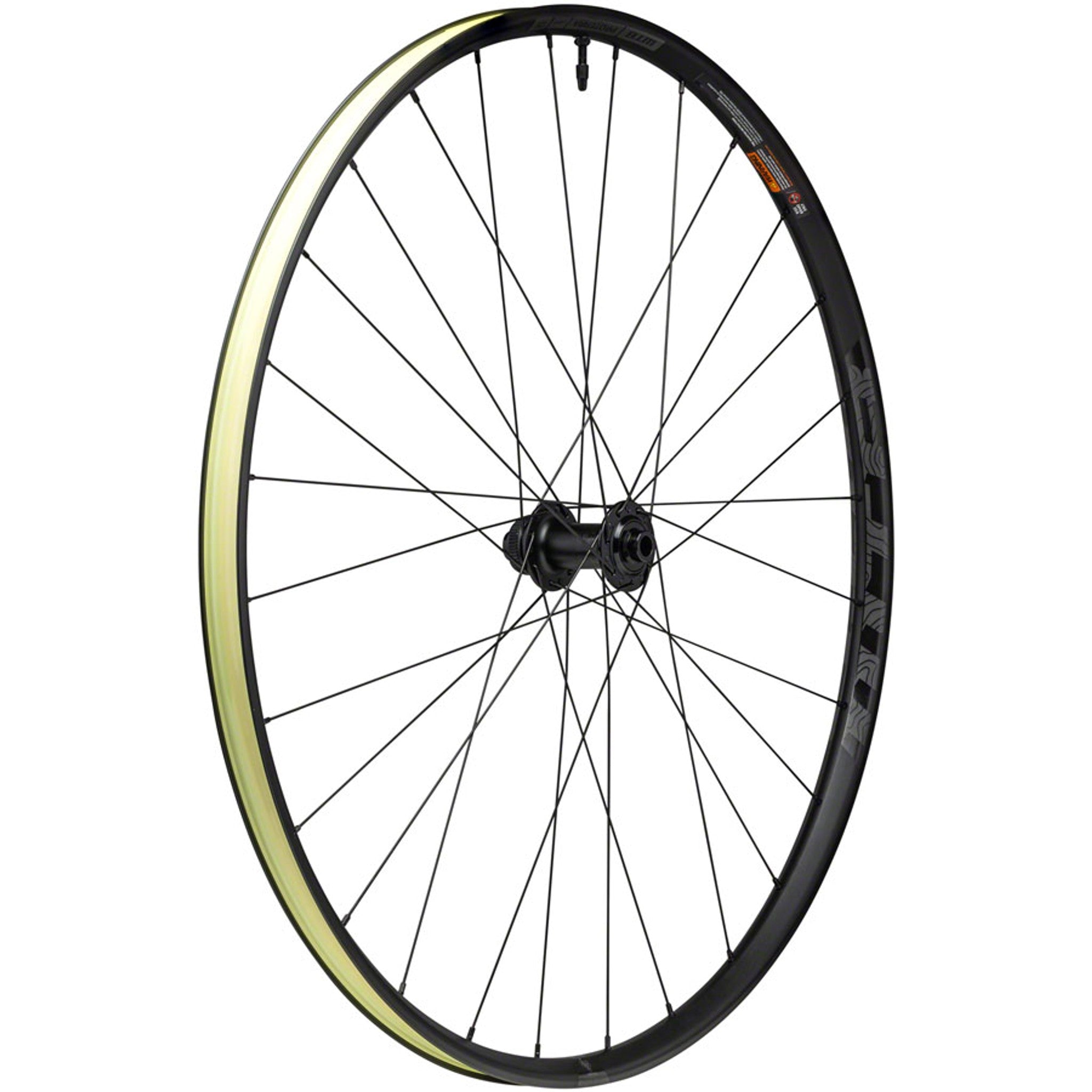 Proterra Light i25 Front Wheel - 700, 12 x 100mm, Center-Lock, Black, 28H