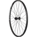 Bear Pawls / Stans Arch S1 Front Wheel - 29", 15 x 110mm, Center-Lock, Black, 32H