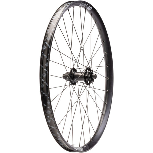 Bear Pawls / DT Swiss E593 Rear Wheel - 26", 10 x 135mm Bolt-On, 6-Bolt, 13T Single-Speed, Black, 32H