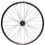 Bear Pawls / DT Swiss E593 Rear Wheel - 26", 10 x 135mm Bolt-On, 6-Bolt, 13T Single-Speed, Black, 32H