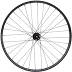 DT 350 / Stans Arch S2 Front Wheel - 29", 15 x 110mm, 6-Bolt, Black, 32H