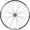 350 Front Wheel - 29", 15 x 110mm Boost, 6-Bolt, Black