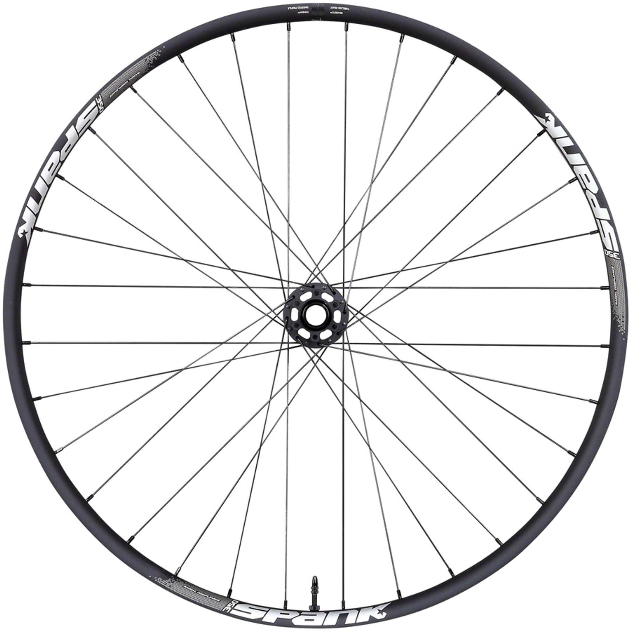 350 Front Wheel - 29", 15 x 110mm Boost, 6-Bolt, Black