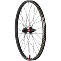 DT 240 / Reserve 30 SL Carbon Rear Wheel - 29", 12 x 148mm, 6-Bolt, XD, Ratchet DEG 90, Carbon, 28H