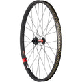 DT 240 / Reserve 30 HD Carbon Front Wheel - 29", 15 x 110mm, 6-Bolt, Carbon, 28H