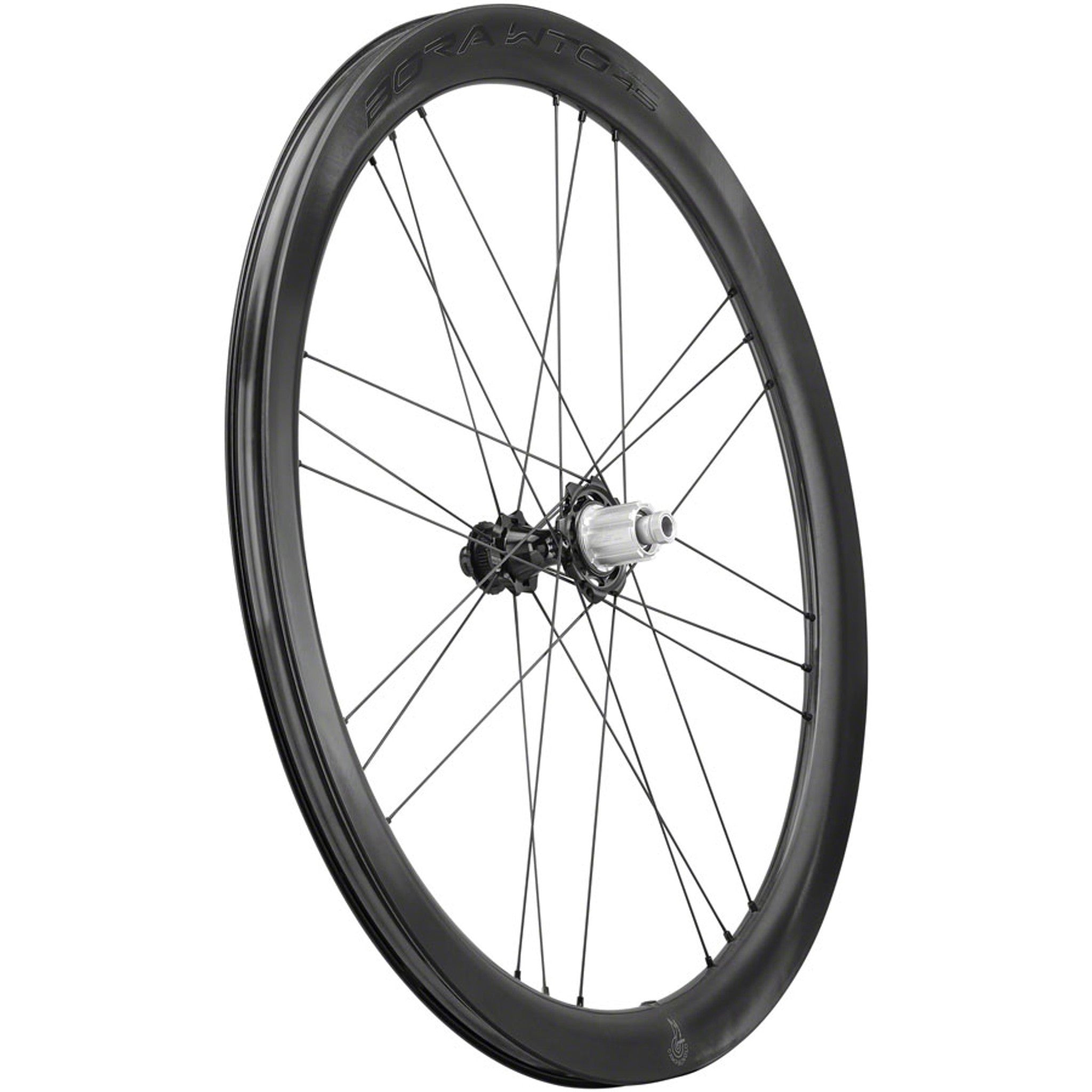 BORA WTO 45 C23 Rear Wheel - 700, 12 x 142mm, Center-Lock, N3W, 2-Way Fit, Carbon