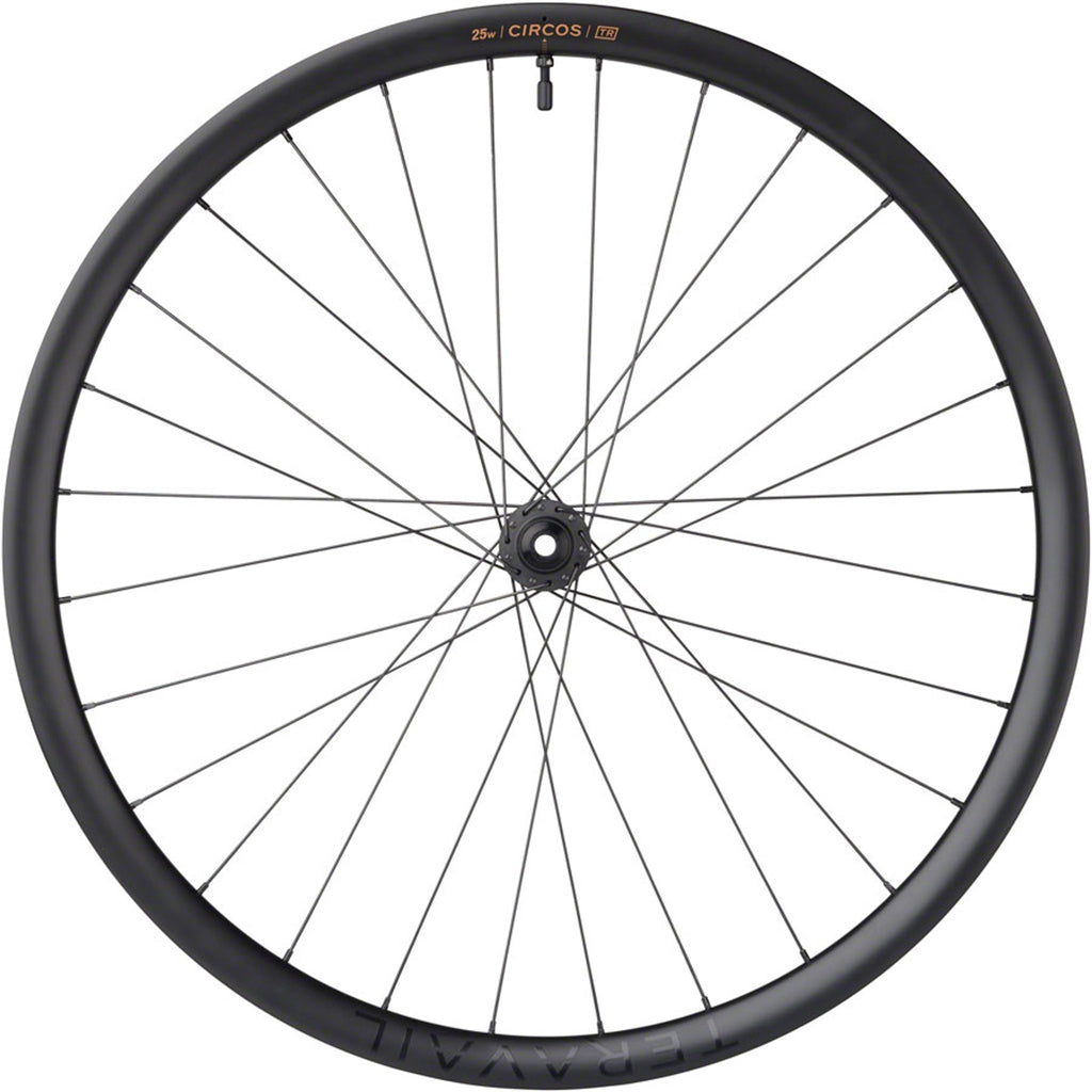Circos Gravel Front Wheel - 700, 12 x 100mm, Center-Lock, Carbon, DT350