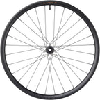 Circos Gravel Front Wheel - 700, 12 x 100mm, Center-Lock, Carbon, DT350