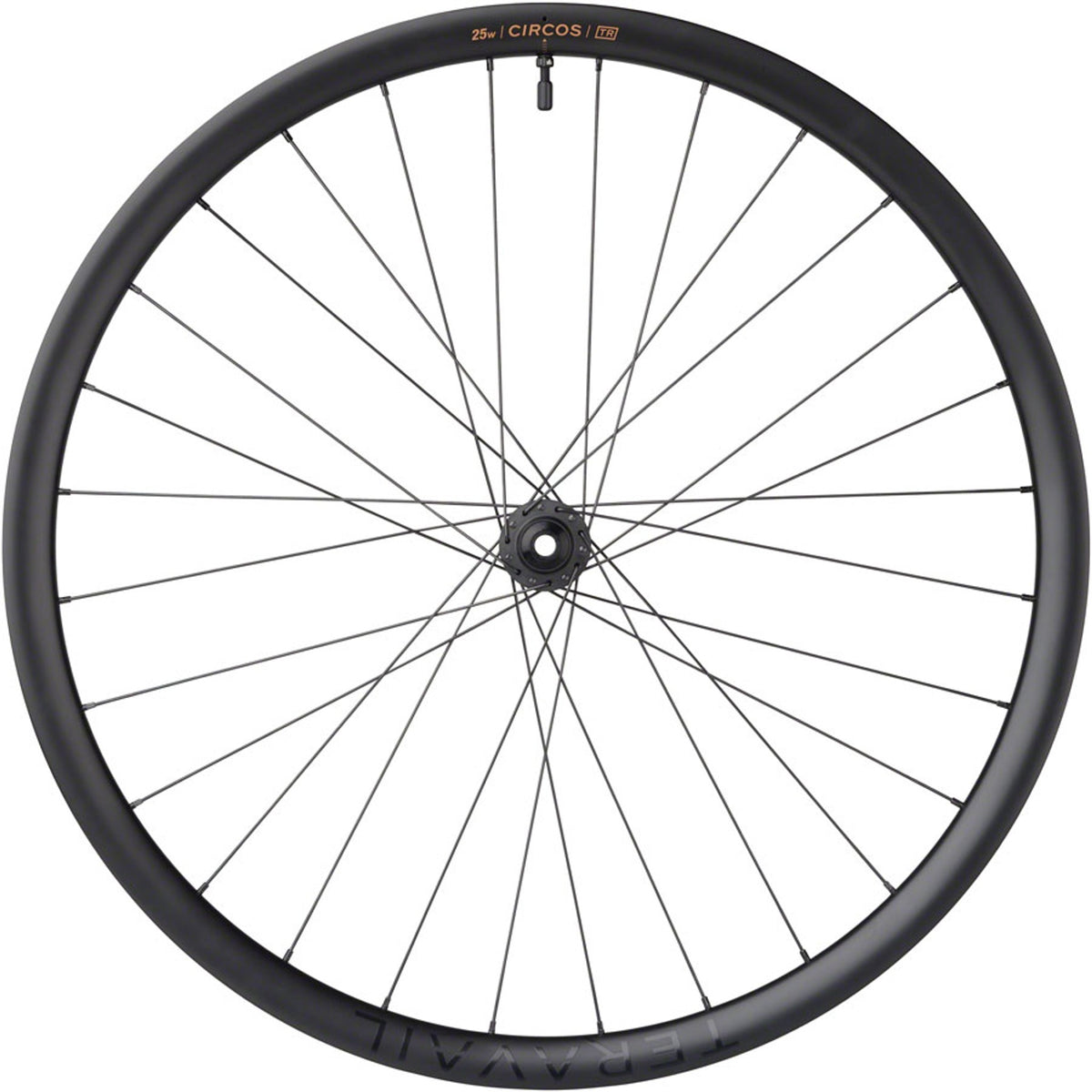 Circos Gravel Front Wheel - 700, 12 x 100mm, Center-Lock, Carbon, DT350