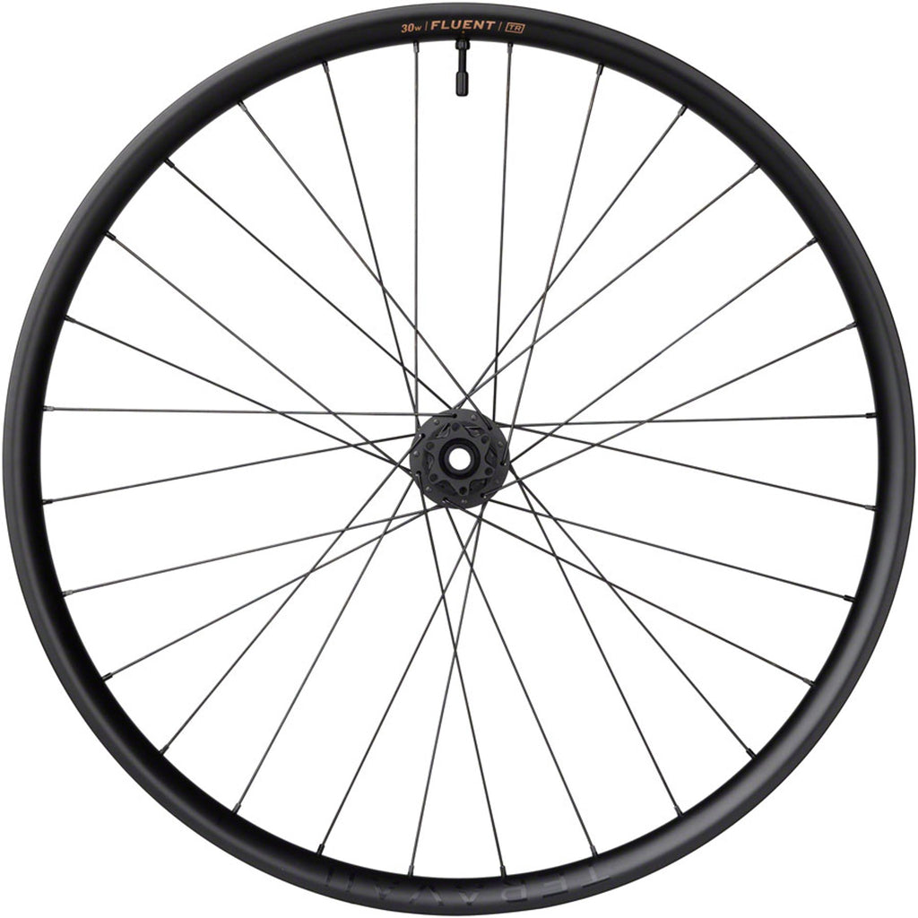 Fluent Mountain Front Wheel - 29", 15 x 110mm Boost, 6-Bolt, Carbon, DT350, 28H