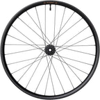 Fluent Mountain Front Wheel - 29", 15 x 110mm Boost, 6-Bolt, Carbon, DT350, 28H