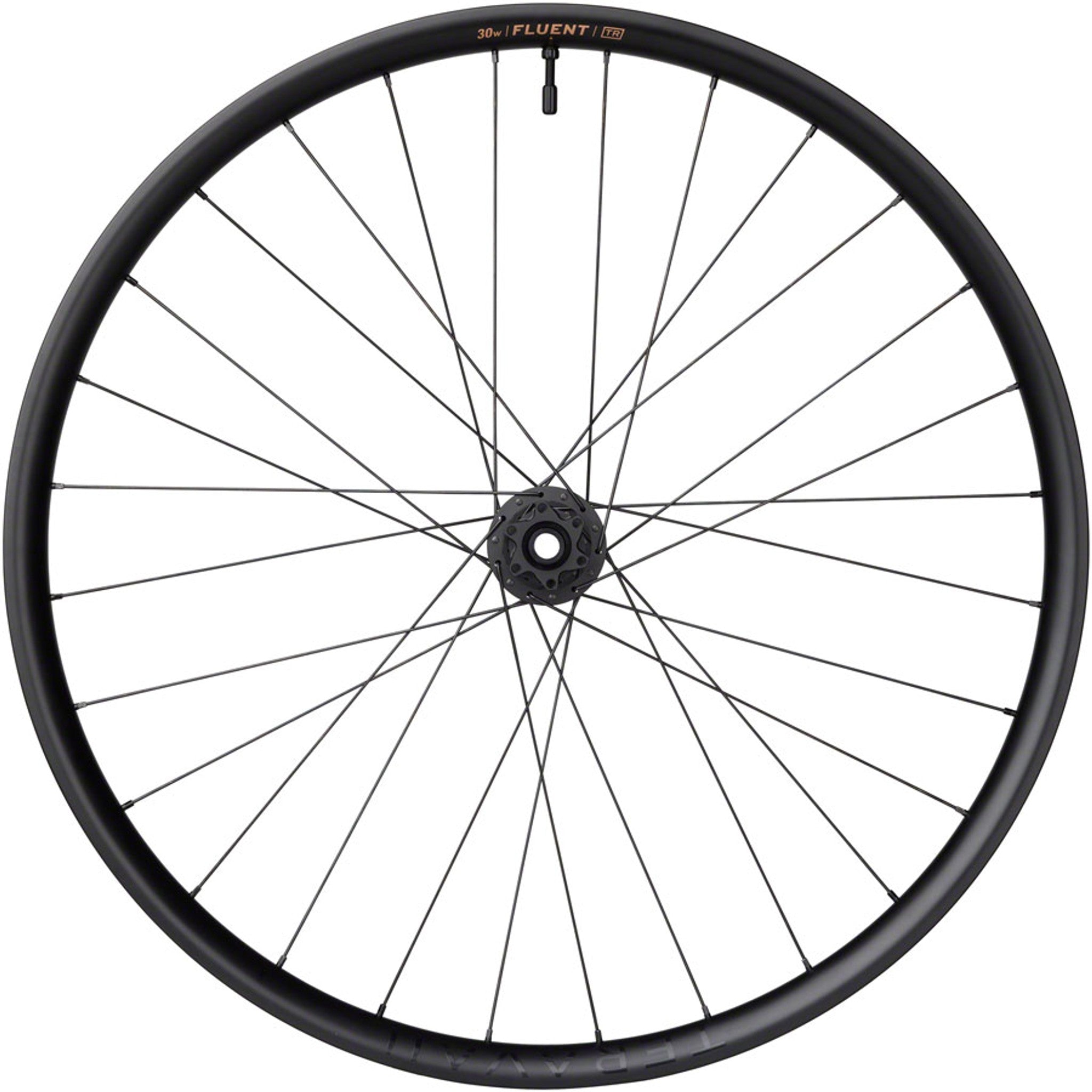 Fluent Mountain Front Wheel - 29", 15 x 110mm Boost, 6-Bolt, Carbon, DT350, 28H