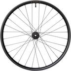 Fluent Mountain Rear Wheel - 29", 12 x 148mm Boost, 6-Bolt, XD , Carbon, DT350, 28H