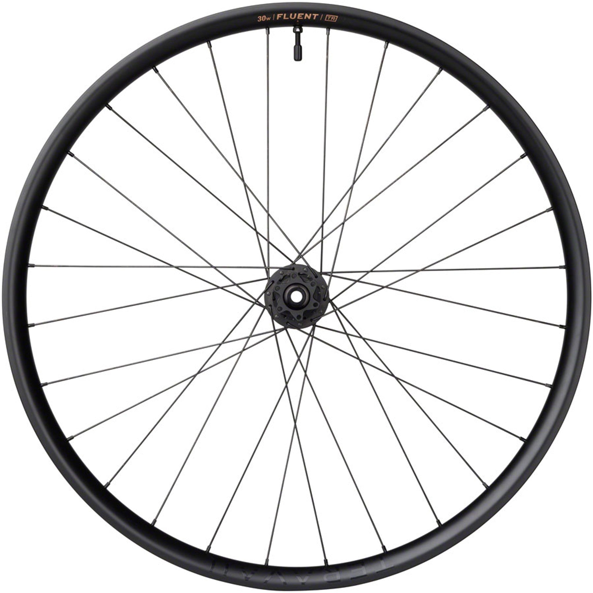 Fluent Mountain Rear Wheel - 29", 12 x 148mm Boost, 6-Bolt, XD , Carbon, DT350, 28H