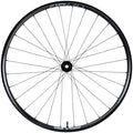 AM30 Foundation Front Wheel - 29", 15 x 110mm, Center-Lock, Black, 28H