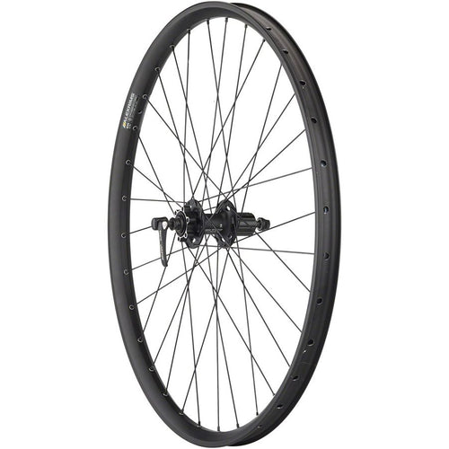 Alex EM30 Disc Rear Wheel