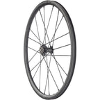 Racing Zero Carbon CMPTZN DB Front Wheel - 700, 12 x 100mm, Center-Lock, Black