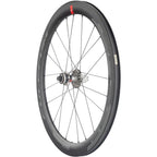 Speed 55 DB Rear Wheel