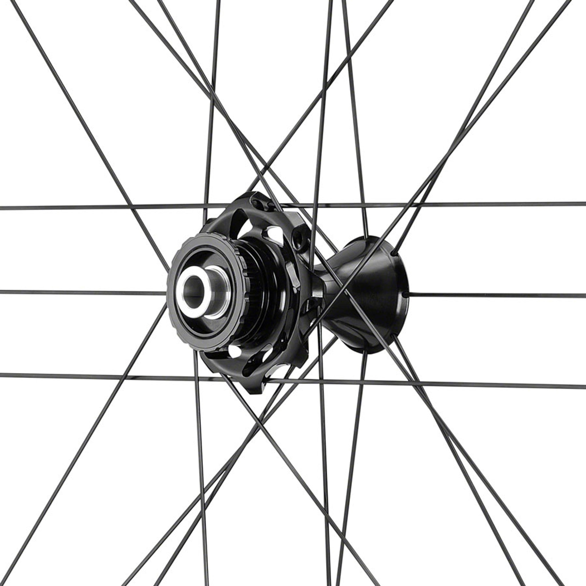 Bora WTO 60 Front Wheel - 700, 12 x 100mm, Center-Lock, Dark Label