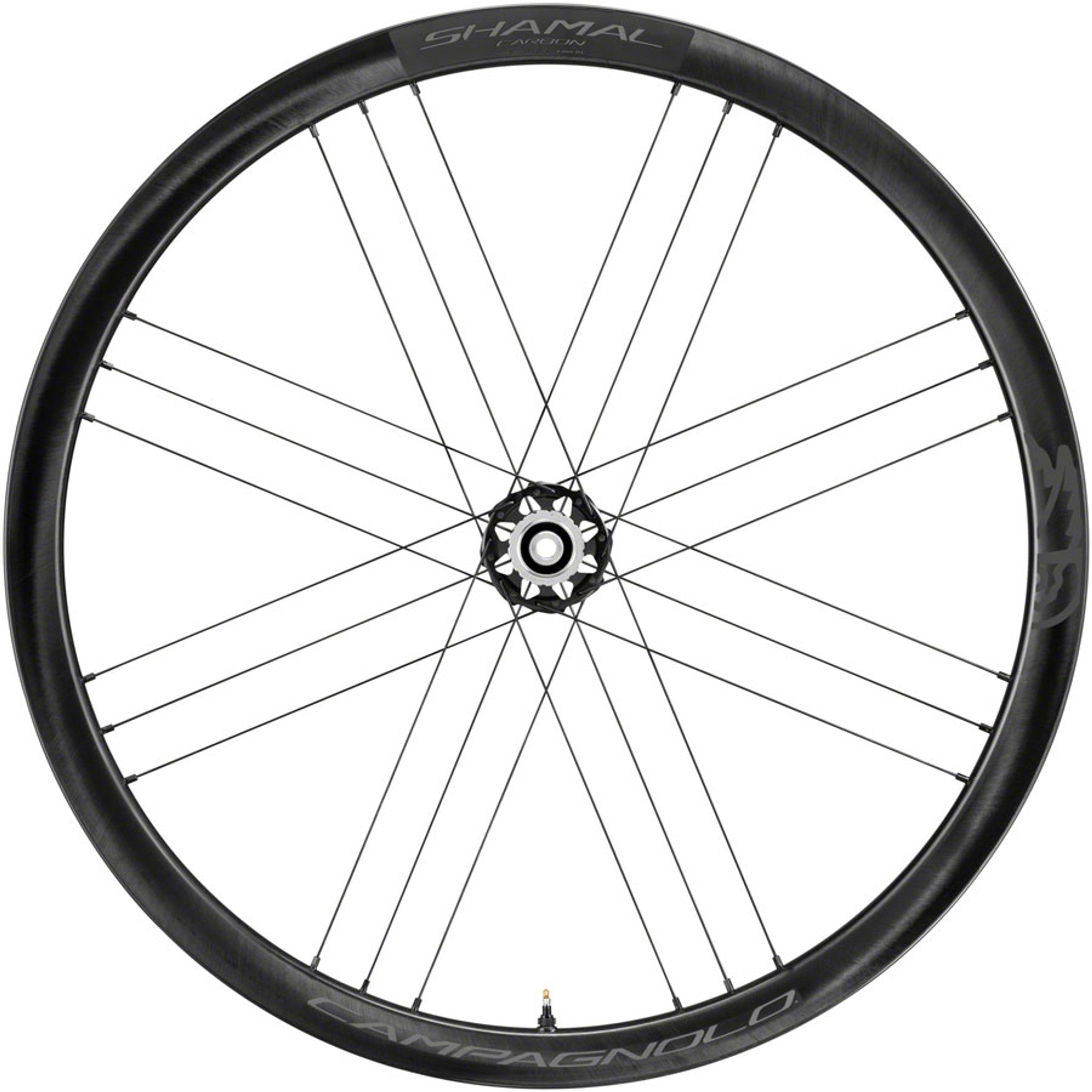 SHAMAL Carbon Disc Front Wheel - 700, 12 x 100mm, Centerlock, Black