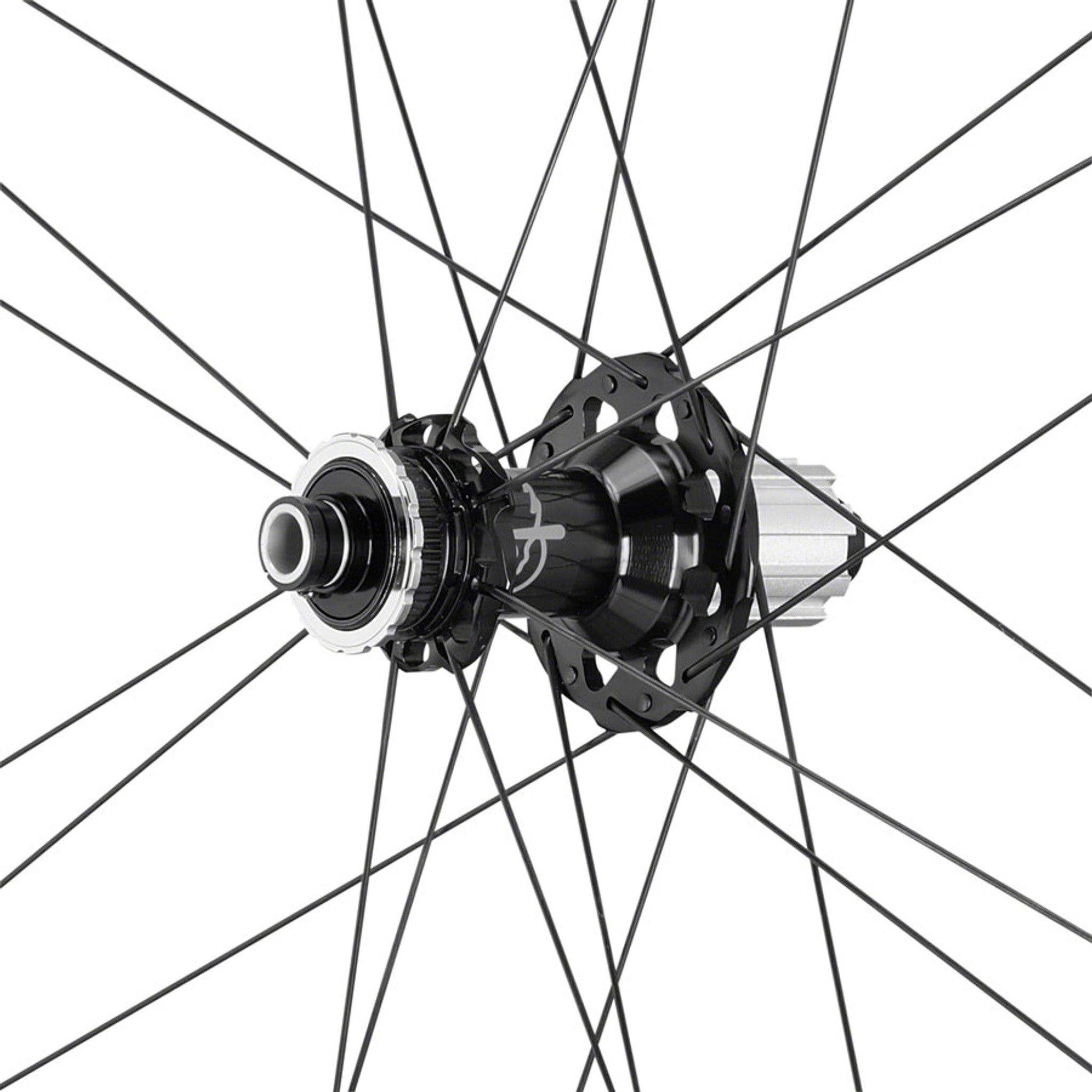SHAMAL Carbon Disc Rear Wheel - 700, 12 x 100mm/12 x 142mm, Centerlock, N3W, Black